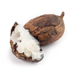 Shea Butter
